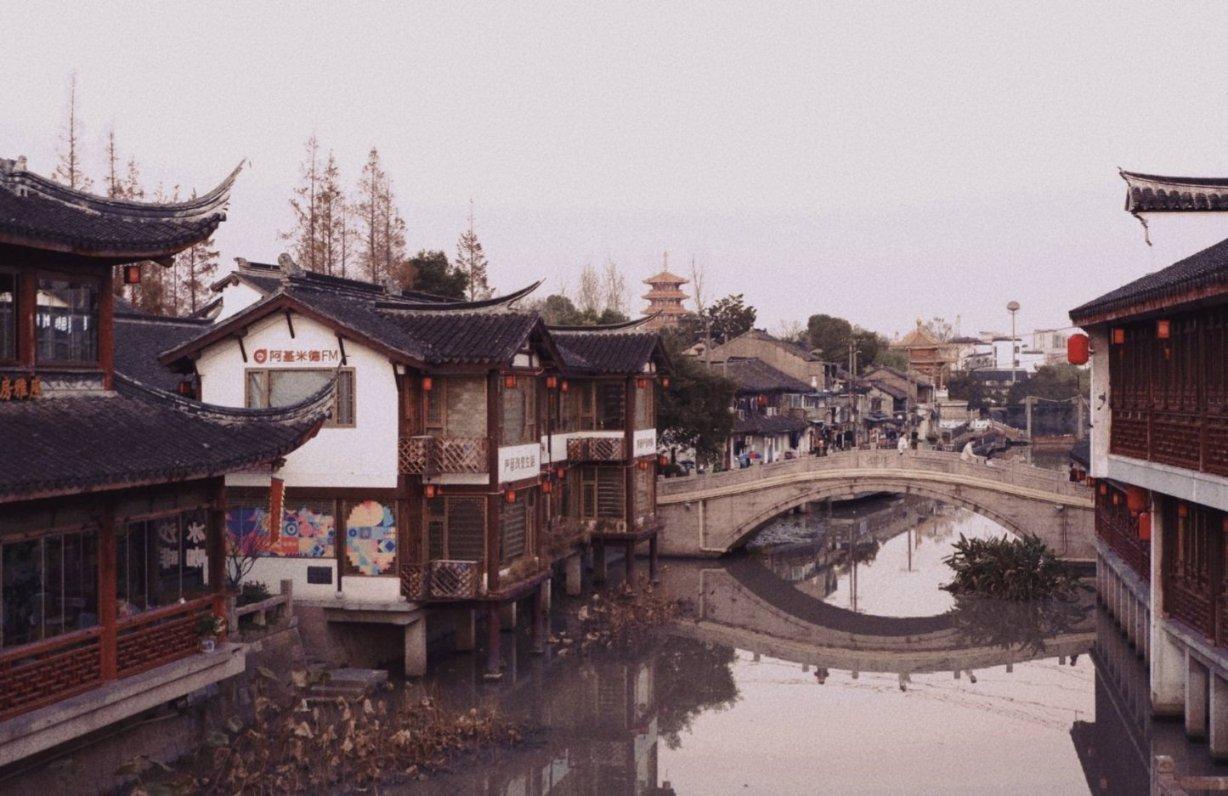 加大支持力度 提升安化县笋竹产业发展成色